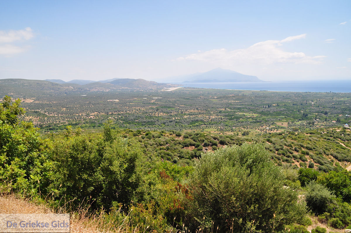 foto Olijfgaarden aan de vlakte bij Pythagorion en Heraion (Ireon) - Eiland Samos