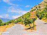 Tussen de olijfbomen en in de buurt van het Spiliani klooster, de Efpalinos tunnel en het oude theater in Pythagorion - Eiland Samos - Foto van De Griekse Gids