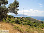 Landschap Pythagorion - Eiland Samos - Foto van De Griekse Gids