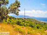 Landschap Pythagorion - Eiland Samos - Foto van De Griekse Gids