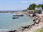 Bootjes aan het haventje van Heraion (Ireon) - Eiland Samos - Foto van De Griekse Gids