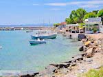 Bootjes aan het haventje van Heraion (Ireon) - Eiland Samos - Foto van De Griekse Gids