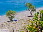 Een verlaten kiezelstrand bij Kampos (Votsalakia)  - Eiland Samos - Foto van De Griekse Gids