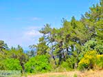 De natuur op de heuvels rond Karlovassi - Eiland Samos - Foto van De Griekse Gids