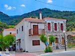 Mooie gebouwen aan de kust bij Agios Konstandinos - Eiland Samos - Foto van De Griekse Gids