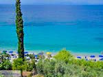 Olijfbomen aan strand Lemonakia bij Kokkari - Eiland Samos - Foto van De Griekse Gids