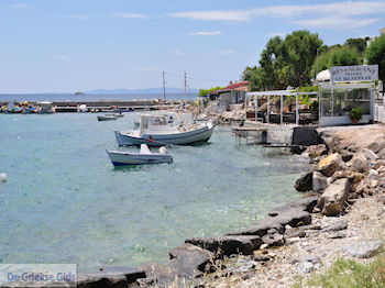 Bootjes aan het haventje van Heraion (Ireon) - Eiland Samos - Foto van https://www.grieksegids.nl/fotos/eilandsamos/350pixels/eiland-samos-foto-036.jpg