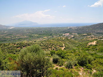 Olijfbomen aan de vlakte bij Pythagorion en Heraion (Ireon) - Eiland Samos - Foto van https://www.grieksegids.nl/fotos/eilandsamos/350pixels/eiland-samos-foto-045.jpg