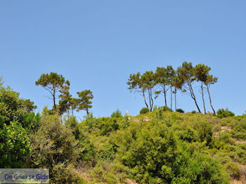 Groene natuur van Samos - Eiland Samos - Foto van https://www.grieksegids.nl/fotos/eilandsamos/350pixels/eiland-samos-foto-047.jpg