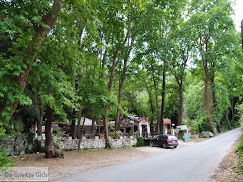 Taverna aan de Vallei der Nachtegalen bij Agios Konstandinos - Eiland Samos - Foto van https://www.grieksegids.nl/fotos/eilandsamos/350pixels/eiland-samos-foto-097.jpg