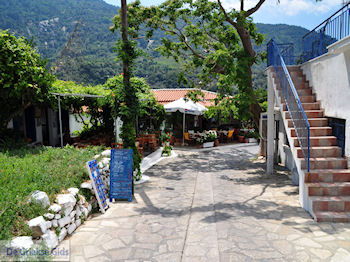 Een gezellige taverna in Manolates - Eiland Samos - Foto van https://www.grieksegids.nl/fotos/eilandsamos/350pixels/eiland-samos-foto-107.jpg