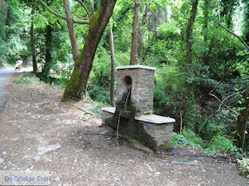 Waterbron in de vallei der nachtegalen bij Manolates - Eiland Samos - Foto van https://www.grieksegids.nl/fotos/eilandsamos/350pixels/eiland-samos-foto-108.jpg
