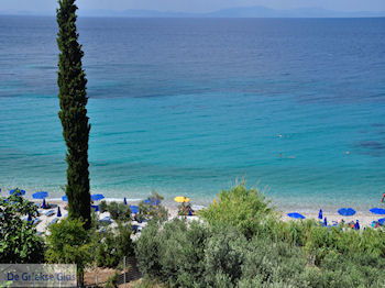 Olijfbomen aan strand Lemonakia bij Kokkari - Eiland Samos - Foto van https://www.grieksegids.nl/fotos/eilandsamos/350pixels/eiland-samos-foto-127.jpg