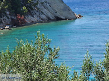 Olijfbomen tot aan de zee - Lemonakia bij Kokkari- Eiland Samos - Foto van https://www.grieksegids.nl/fotos/eilandsamos/350pixels/eiland-samos-foto-128.jpg