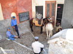 Fira Santorini (Thira) - Foto 69 - Foto van De Griekse Gids