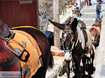 Fira Santorini (Thira) - Foto 67 - Foto van https://www.grieksegids.nl/fotos/eilandsantorini/350pixels/fira-santorini-067.jpg