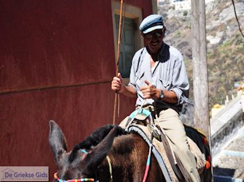 Fira Santorini (Thira) - Foto 68 - Foto van https://www.grieksegids.nl/fotos/eilandsantorini/350pixels/fira-santorini-068.jpg