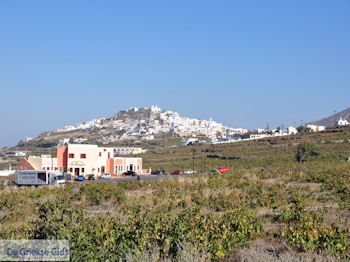 Pyrgos Santorini (Thira) - Foto 4 - Foto van https://www.grieksegids.nl/fotos/eilandsantorini/350pixels/pyrgos-santorini-004.jpg