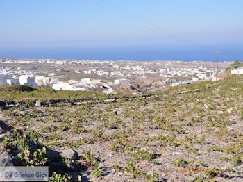 Foto Santorini (Thira) - Foto 4 - Foto van https://www.grieksegids.nl/fotos/eilandsantorini/350pixels/santorini-004.jpg