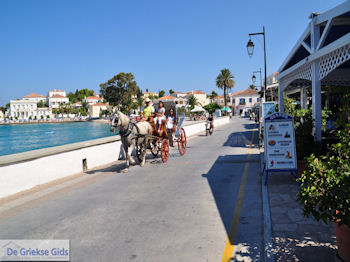 Eiland Spetses Griechenland GriechenlandWeb.de Foto 019 - Foto GriechenlandWeb.de