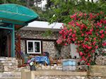 Papalimani Thassos | Griechenland | Foto 6 - Foto GriechenlandWeb.de