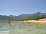 GriechenlandWeb.de Golden Beach - Skala Panagia - Chrissi Ammoudia | Thassos | Foto 17 - Foto GriechenlandWeb.de