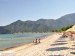 GriechenlandWeb.de Golden Beach - Skala Panagia - Chrissi Ammoudia | Thassos | Foto 25 - Foto GriechenlandWeb.de