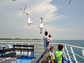 Van Keramoti (bij Kavala) naar Thassos | Griekenland | Foto 14 - Foto van https://www.grieksegids.nl/fotos/eilandthassos/thassos-griekenland/350px/thassos-014.jpg