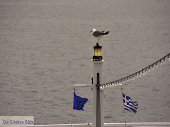 Van Keramoti (bij Kavala) naar Thassos | Griekenland | Foto 15 - Foto van https://www.grieksegids.nl/fotos/eilandthassos/thassos-griekenland/350px/thassos-015.jpg