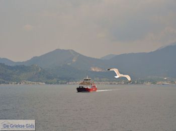 Van Keramoti (bij Kavala) naar Thassos | Griekenland | Foto 16 - Foto van https://www.grieksegids.nl/fotos/eilandthassos/thassos-griekenland/350px/thassos-016.jpg