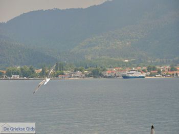 Van Keramoti (bij Kavala) naar Thassos | Griekenland | Foto 19 - Foto van https://www.grieksegids.nl/fotos/eilandthassos/thassos-griekenland/350px/thassos-019.jpg