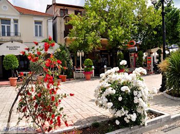 Thassos stad - Limenas | Griekenland | Foto 3 - Foto van https://www.grieksegids.nl/fotos/eilandthassos/thassos-griekenland/350px/thassos-027.jpg