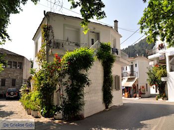 Panagia Thassos | Griekenland | Foto 2 - Foto van https://www.grieksegids.nl/fotos/eilandthassos/thassos-griekenland/350px/thassos-053.jpg