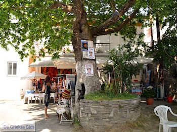 Panagia Thassos | Griekenland | Foto 3 - Foto van https://www.grieksegids.nl/fotos/eilandthassos/thassos-griekenland/350px/thassos-054.jpg