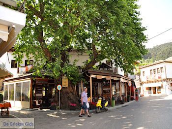 Panagia Thassos | Griekenland | Foto 7 - Foto van https://www.grieksegids.nl/fotos/eilandthassos/thassos-griekenland/350px/thassos-058.jpg