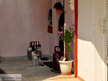 Panagia Thassos | Griekenland | Foto 20 - Foto van https://www.grieksegids.nl/fotos/eilandthassos/thassos-griekenland/350px/thassos-071.jpg