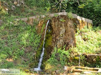 Panagia Thassos | Griekenland | Foto 21 - Foto van https://www.grieksegids.nl/fotos/eilandthassos/thassos-griekenland/350px/thassos-072.jpg