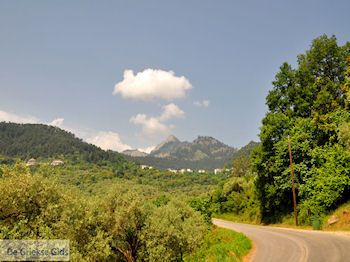 Panagia Thassos | Griekenland | Foto 22 - Foto van https://www.grieksegids.nl/fotos/eilandthassos/thassos-griekenland/350px/thassos-073.jpg
