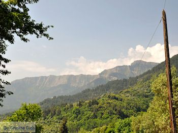Panagia Thassos | Griekenland | Foto 23 - Foto van https://www.grieksegids.nl/fotos/eilandthassos/thassos-griekenland/350px/thassos-074.jpg