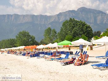 Golden Beach - Skala Panagia - Chrissi Ammoudia | Thassos | Foto 5 - Foto van https://www.grieksegids.nl/fotos/eilandthassos/thassos-griekenland/350px/thassos-079.jpg