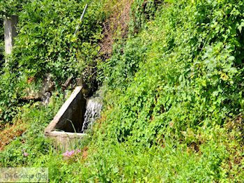 Potamia Thassos | Griekenland | Foto 3 - Foto van https://www.grieksegids.nl/fotos/eilandthassos/thassos-griekenland/350px/thassos-084.jpg