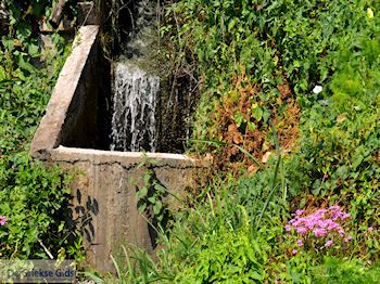 Potamia Thassos | Griekenland | Foto 4 - Foto van https://www.grieksegids.nl/fotos/eilandthassos/thassos-griekenland/350px/thassos-085.jpg