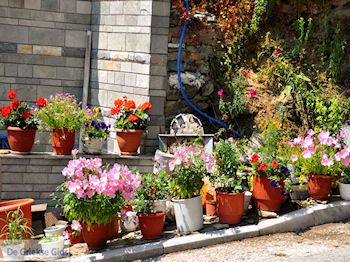 Potamia Thassos | Griekenland | Foto 5 - Foto van https://www.grieksegids.nl/fotos/eilandthassos/thassos-griekenland/350px/thassos-086.jpg