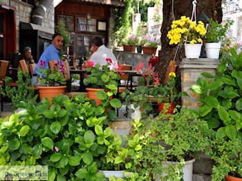 Potamia Thassos | Griekenland | Foto 8 - Foto van https://www.grieksegids.nl/fotos/eilandthassos/thassos-griekenland/350px/thassos-089.jpg