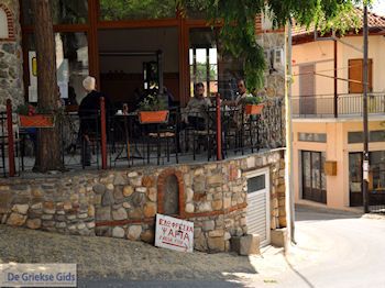 Potamia Thassos | Griekenland | Foto 9 - Foto van https://www.grieksegids.nl/fotos/eilandthassos/thassos-griekenland/350px/thassos-090.jpg