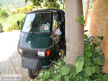 Paradise Beach - Kinira | Thassos | Foto 5 - Foto van https://www.grieksegids.nl/fotos/eilandthassos/thassos-griekenland/350px/thassos-133.jpg