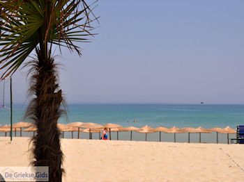 Paradise Beach - Kinira | Thassos | Foto 6 - Foto van De Griekse Gids