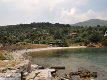 Alyki Thassos | Griekenland | Foto 15 - Foto van https://www.grieksegids.nl/fotos/eilandthassos/thassos-griekenland/350px/thassos-162.jpg