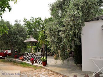 Alyki Thassos | Griekenland | Foto 27 - Foto van https://www.grieksegids.nl/fotos/eilandthassos/thassos-griekenland/350px/thassos-174.jpg