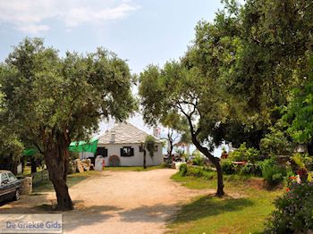 Alyki Thassos | Griekenland | Foto 30 - Foto van https://www.grieksegids.nl/fotos/eilandthassos/thassos-griekenland/350px/thassos-177.jpg